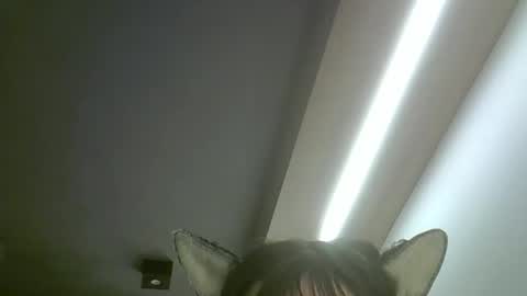 Snapshot of skinnykittencam chatting on May 19, 2026, 2:18 am skinnykittencam online show from May 19, 2026, 2:18 am