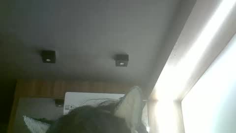 Snapshot of skinnykittencam chatting on May 20, 2026, 2:29 am skinnykittencam online show from May 20, 2026, 2:29 am