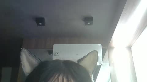 Snapshot of skinnykittencam chatting on May 23, 2026, 3:38 pm skinnykittencam online show from May 23, 2026, 3:38 pm