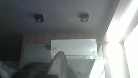 Snapshot of skinnykittencam chatting on May 24, 2026, 4:01 pm skinnykittencam online show from May 24, 2026, 4:01 pm
