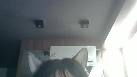Snapshot of skinnykittencam chatting on May 26, 2026, 9:38 am skinnykittencam online show from May 26, 2026, 9:38 am