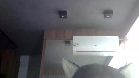 Snapshot of skinnykittencam chatting on May 30, 2026, 6:54 am skinnykittencam online show from May 30, 2026, 6:54 am