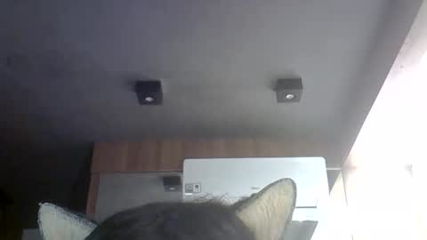 Snapshot of skinnykittencam chatting on May 30, 2026, 7:00 pm skinnykittencam online show from May 30, 2026, 7:00 pm