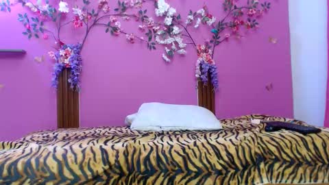 sofia online show from February 24, 2026, 1:31 pm