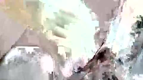 Z online show from November 12, 2025, 8:52 pm