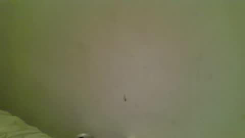 Bottmboitwink online show from October 18, 2025, 6:16 am