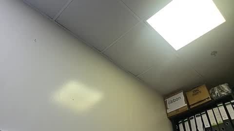 Snapshot of slothslav chatting on October 28, 2025, 2:04 am slothslav online show from October 28, 2025, 2:04 am