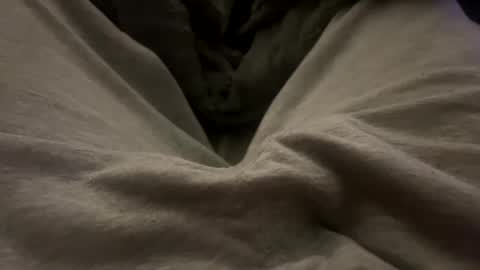 Sloppytoppy online show from February 11, 2025, 11:33 pm