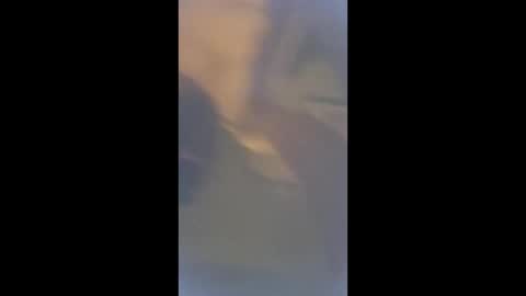 Snapshot of smcock68 chatting on March 3, 2026, 11:21 pm smcock68 online show from March 3, 2026, 11:21 pm