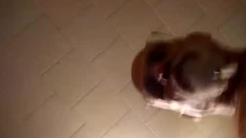 Smithology online show from December 19, 2024, 1:18 am