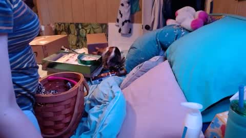 DIAN dee-ann online show from December 24, 2024, 2:54 am