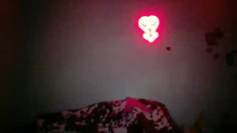 Bambi--Vodka online show from February 6, 2026, 10:46 pm