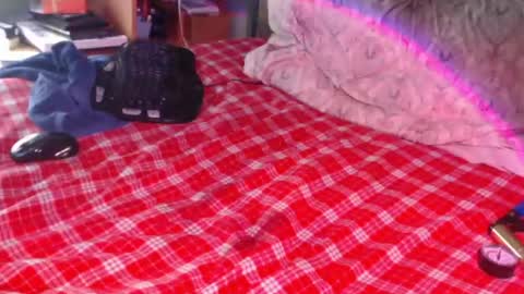 Snapshot of snailfxcks chatting on February 17, 2026, 2:35 pm Snail online show from February 17, 2026, 2:35 pm