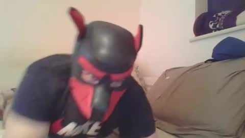 SoftPuppy online show from January 9, 2026, 10:33 pm