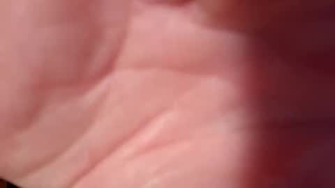 Snooty online show from February 10, 2025, 10:51 pm