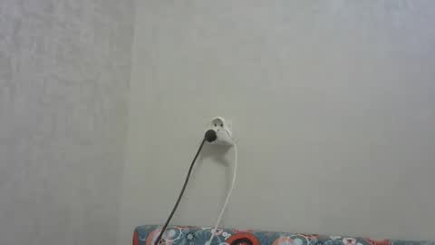 Arthur online show from December 19, 2025, 5:09 pm