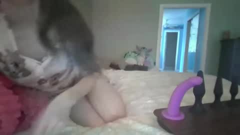 soaring_angel online show from December 30, 2024, 3:24 pm