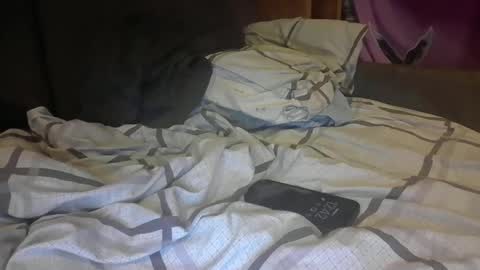 Snapshot of socalislandguy chatting on March 4, 2026, 8:42 am PaulyBigD online show from March 4, 2026, 8:42 am