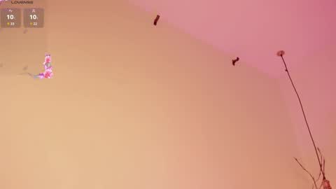 Snapshot of sofiesoft chatting on February 15, 2025, 6:23 pm Sofie online show from February 15, 2025, 6:23 pm