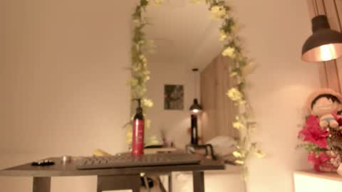 Snapshot of sofiesoft chatting on January 5, 2026, 5:27 pm Sofie online show from January 5, 2026, 5:27 pm