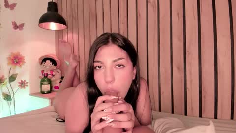 Snapshot of sofiesoft chatting on February 12, 2026, 8:15 pm Sofie online show from February 12, 2026, 8:15 pm