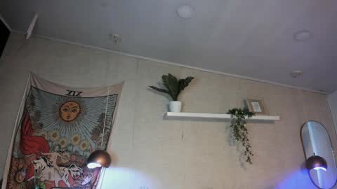 sofii_wild online show from May 30, 2026, 12:13 pm
