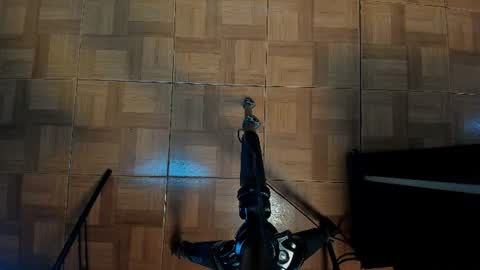sofii_wild online show from July 9, 2026, 12:09 pm