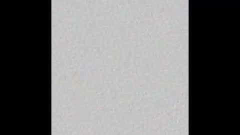 Sofi online show from November 4, 2025, 11:31 am