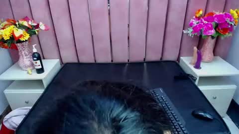 Snapshot of sophi_hardd chatting on December 13, 2024, 10:13 pm sophi_hardd online show from December 13, 2024, 10:13 pm