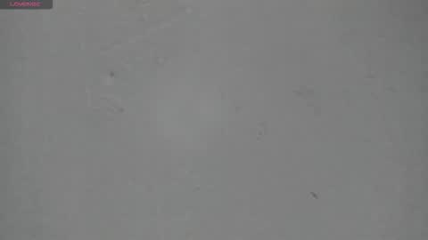 sophia_ebony___ online show from March 15, 2026, 1:17 pm