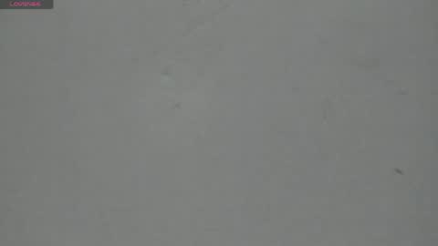 Snapshot of sophia_ebony___ chatting on April 30, 2026, 12:11 pm sophia_ebony___ online show from April 30, 2026, 12:11 pm