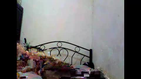 sophialaurel online show from October 1, 2025, 6:52 am