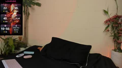         online show from September 29, 2025, 9:19 pm