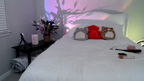 Snapshot of sophieeestar chatting on January 7, 2025, 12:55 am Sophie Star online show from January 7, 2025, 12:55 am