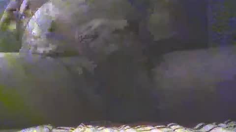 Snapshot of southgolan chatting on March 4, 2025, 7:32 pm Golan online show from March 4, 2025, 7:32 pm