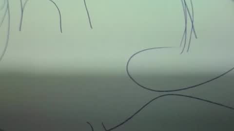 Snapshot of sparklelove69 chatting on March 2, 2026, 5:08 am Scottietee online show from March 2, 2026, 5:08 am