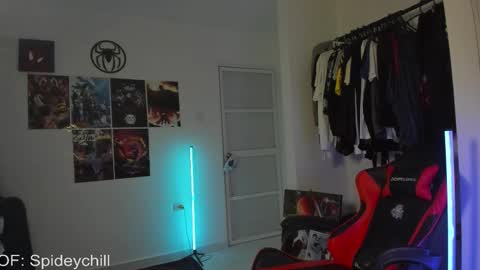 Snapshot of spideychill chatting on February 11, 2026, 4:17 am spideychill online show from February 11, 2026, 4:17 am