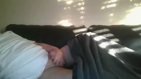 spritzer47 online show from February 2, 2025, 3:17 pm