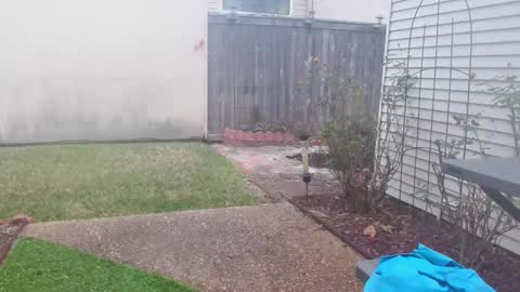 srtxshow online show from February 5, 2025, 3:20 pm