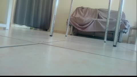 Snapshot of ssenzo chatting on May 17, 2026, 6:55 am ssenzo online show from May 17, 2026, 6:55 am