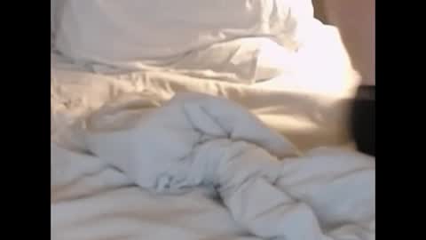 Snapshot of st8llion chatting on February 27, 2025, 1:38 am st8llion online show from February 27, 2025, 1:38 am