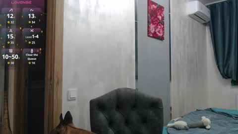 STACY online show from November 27, 2025, 9:06 pm