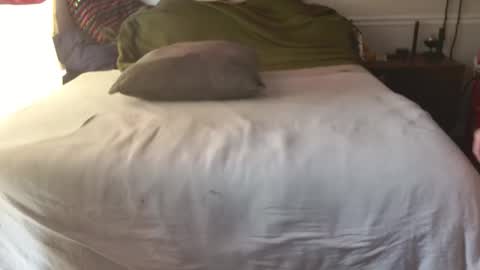 staloney online show from February 10, 2026, 3:49 pm