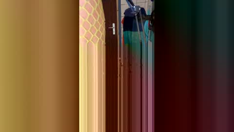 Snapshot of stambo0704987834 chatting on January 17, 2026, 1:16 pm stambo0704987834 online show from January 17, 2026, 1:16 pm