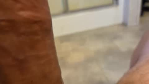 stareyes0249 online show from September 11, 2025, 10:32 pm