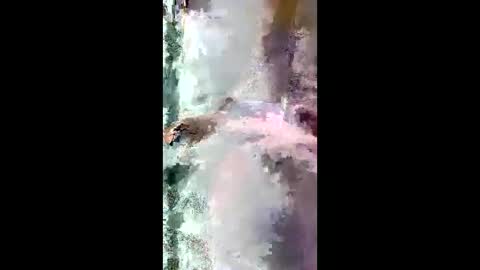 Snapshot of starrywhispers chatting on March 28, 2026, 11:21 am StarryWhispers online show from March 28, 2026, 11:21 am