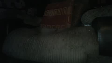 Snapshot of ste_wulf chatting on March 4, 2025, 1:34 am ste_wulf online show from March 4, 2025, 1:34 am