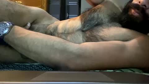 Lobo del Antiguo Oriente online show from April 16, 2026, 2:56 am