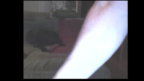 stefangeil123 online show from March 21, 2026, 12:59 am