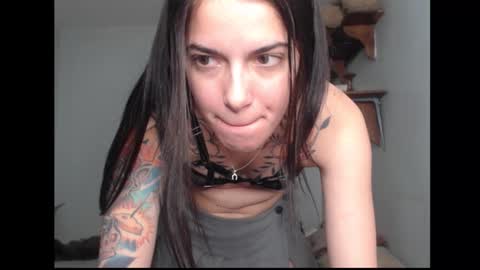 Stella online show from February 17, 2026, 2:08 am